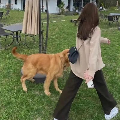 亡灵代言人